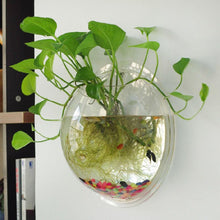 Load image into Gallery viewer, Wall Hanged Transparent Round Pot / Aquarium - stilyo
