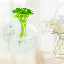 Load image into Gallery viewer, Wall Hanged Transparent Round Pot / Aquarium - stilyo
