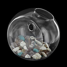 Load image into Gallery viewer, Wall Hanged Transparent Round Pot / Aquarium - stilyo
