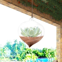 Load image into Gallery viewer, Wall Hanging Glass Plant Pot - stilyo

