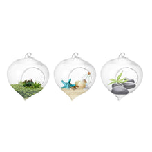 Load image into Gallery viewer, Wall Hanging Glass Plant Pot - stilyo
