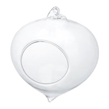 Load image into Gallery viewer, Wall Hanging Glass Plant Pot - stilyo
