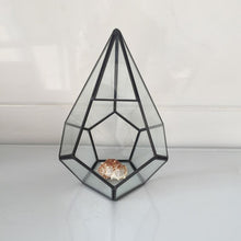 Load image into Gallery viewer, Pot for flowers Handmade Prism Glass Terrarium Air Plant pot Geometric Terrarium brass geometric small box glass vase for plant - stilyo
